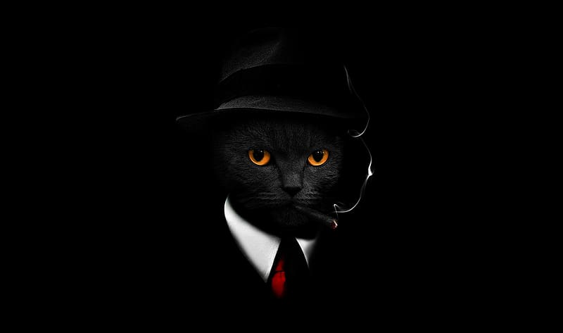 Black cat in suit, black hat & cigar, dark, HD wallpaper