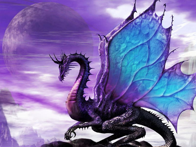 dragon, mythical, purple, blue, HD wallpaper