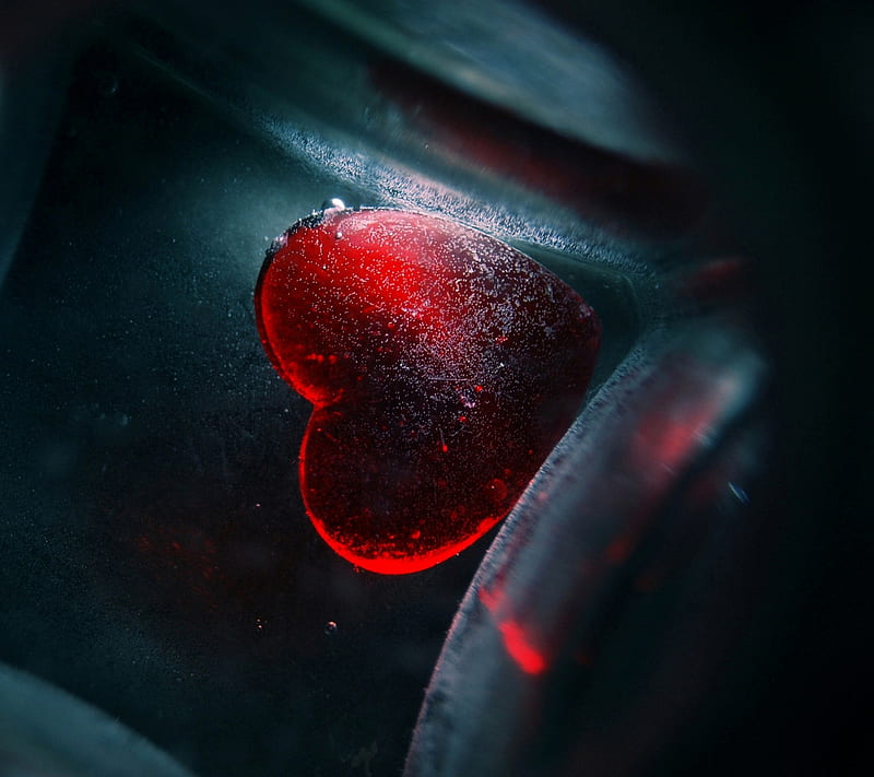 Heart in Darkness, cold, crystal, dark, frost, gothic, love, HD wallpaper