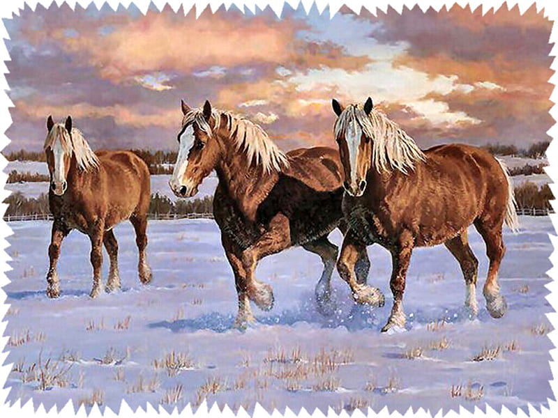Winter Gold - Horses F2, draft, art, palomino, belgian, equine, horse, artwork, winter, snow, painting, scenery, HD wallpaper