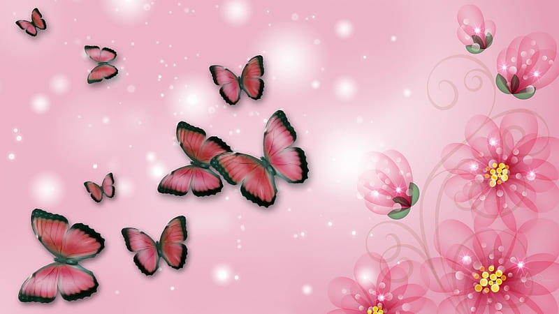 Pink Florals and Butterflies, glow, shine, butterflies, spring ...