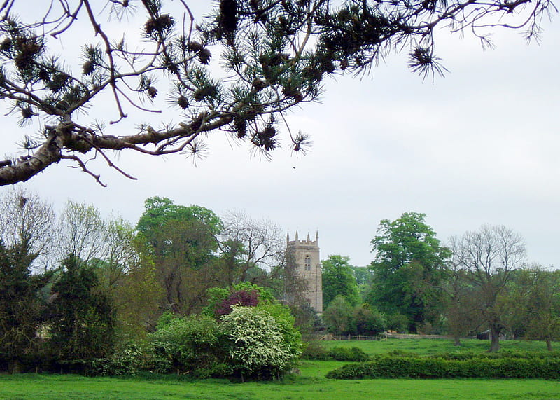 An English Village., tree, grass, village, church, sky, HD wallpaper