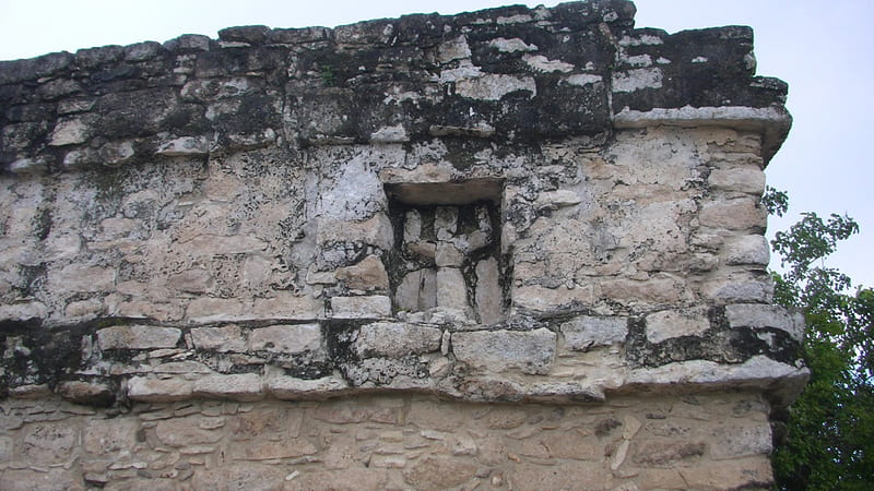 Mayan Art @ Coba, art, cancun, mexico, mayan, coba, pyramid, HD wallpaper