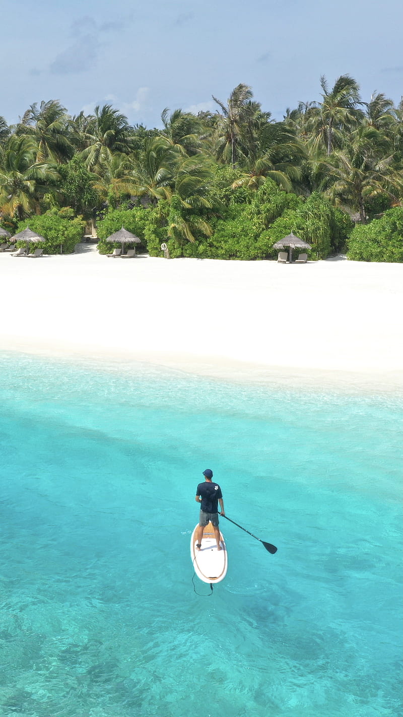 SUP, beach, lagoon, maldives, ocean, paddle board, sport, tropical palm trees coconut resort maldives travel holiday summer sunny fun, water, HD phone wallpaper