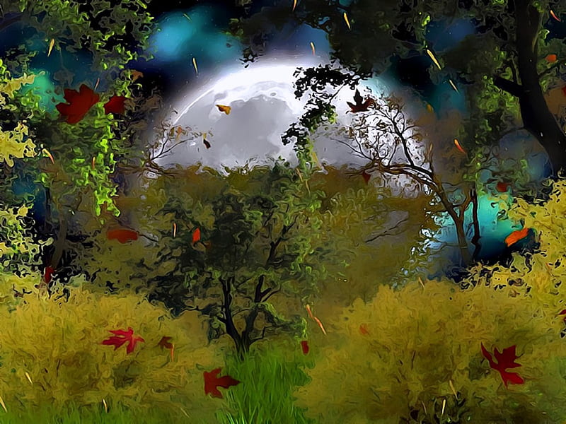 ~Moonlight in Autumn~, autumn, premade BG, bonito, seasons, leaves, stock , full moon, landscapes, exterior, forests, moons, fall season, love four seasons, creative pre-made, trees, moonlight, nature, HD wallpaper