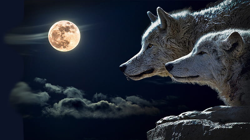 Wolves Blood Moon, lobo, clouds, sky, full moon, blood moon, wolf, wolves, Firefox Persona theme, night, HD wallpaper