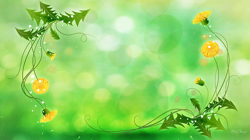 Dandelion Fever, dandelion, leaves, bokeh, weed, green, flower, summer, spring, HD wallpaper