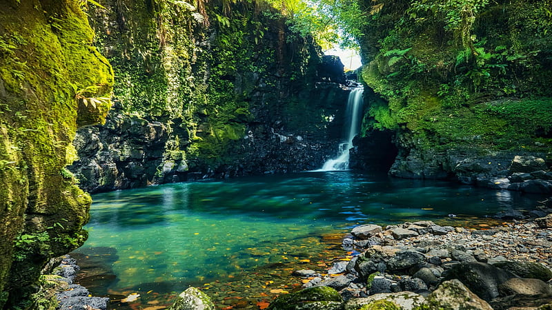 Sauniatu falls, Samoa, rocks, pond, stones, island, river, trees, HD wallpaper