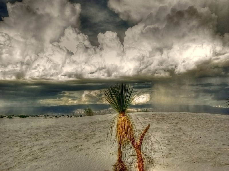 white sand storm, sand, white, storm, HD wallpaper