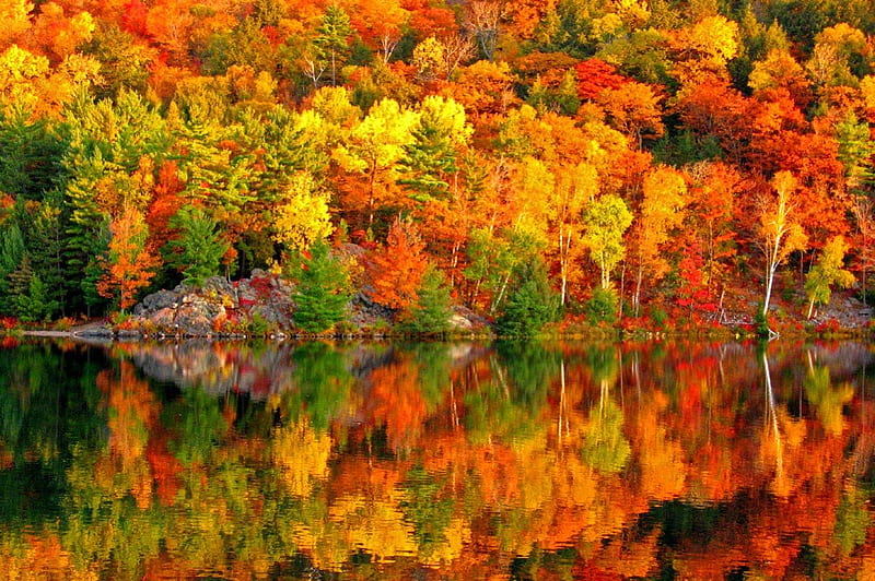 Autumn reflections, fall, autumn, riverbank, shore, falling, bonito ...