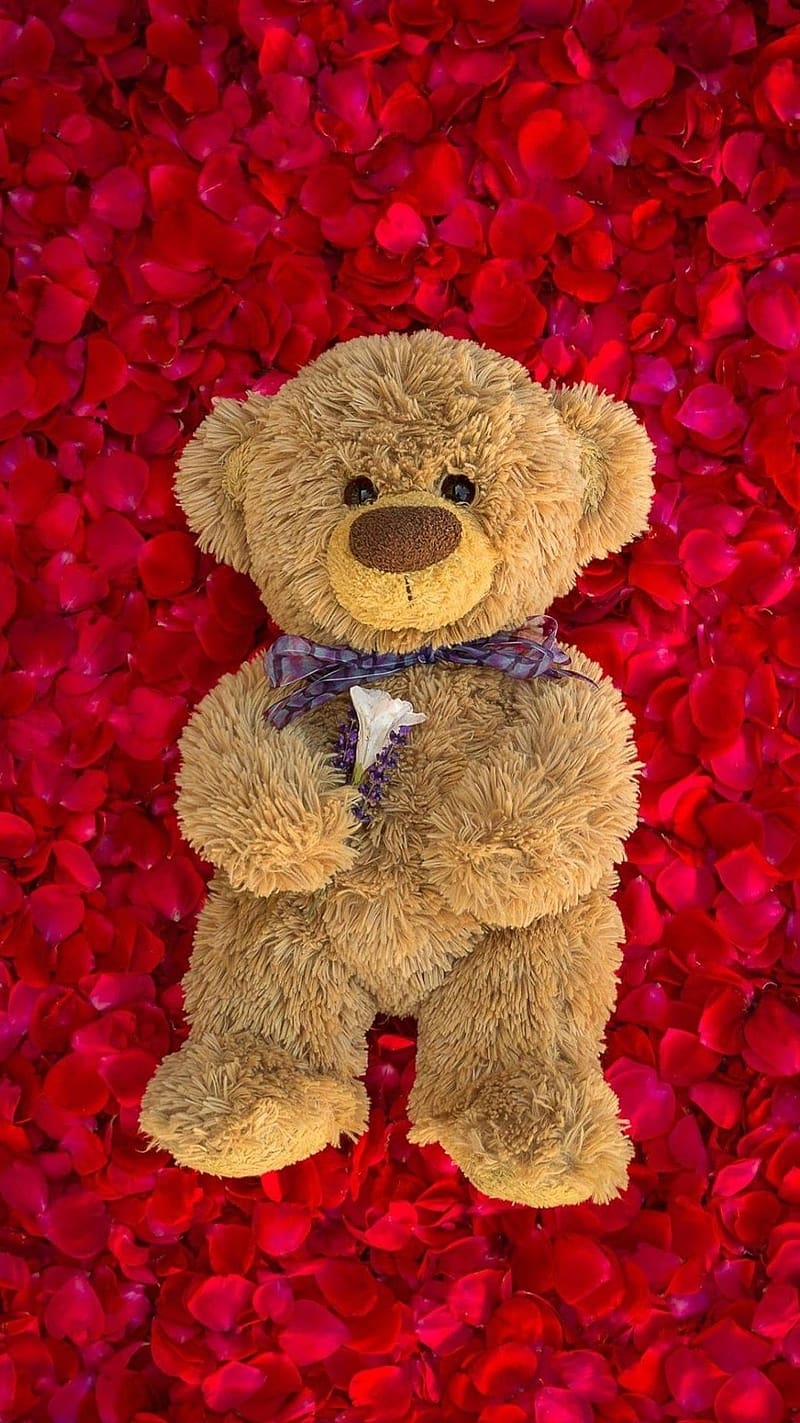 Rose petal hot sale bears