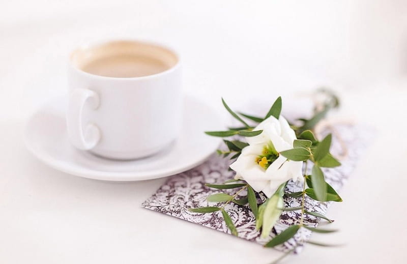 free download | Flower, cup, soft, tea, HD wallpaper | Peakpx