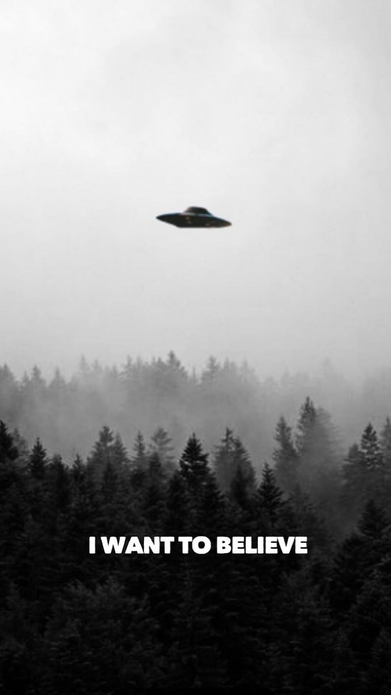 I want to believe, aliens, forest, nature, sayings, space, ufo, HD phone wallpaper