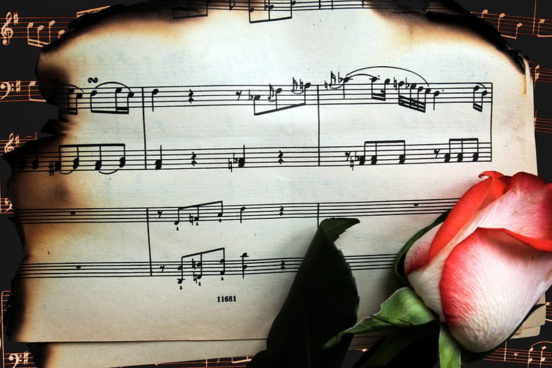 Music & Rose *, red, song, rose, memory, melody, flower, old, HD wallpaper  | Peakpx