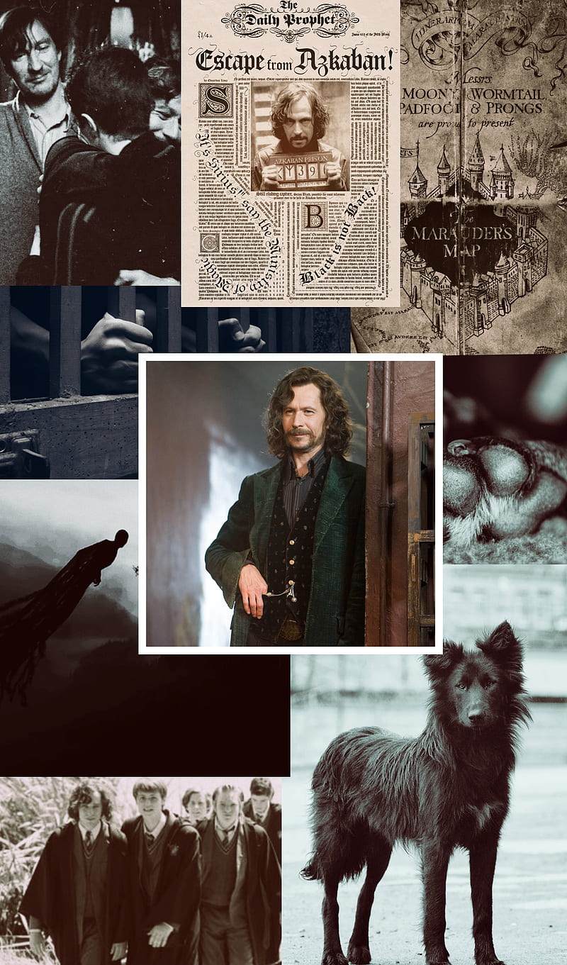 Sirius Black, collage, harry potter, HD phone wallpaper