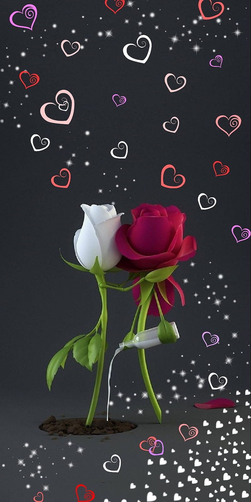 Roses, beauty, flower, corazones, love, milk, pink, red, sparkle, white, HD  phone wallpaper | Peakpx
