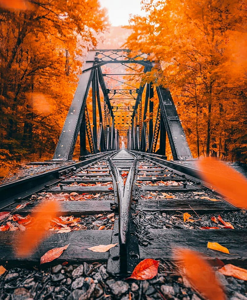 Autumn railroads, autumn, bridge, city, fall, nature, orange, rail, railroad, road, trees, HD phone wallpaper