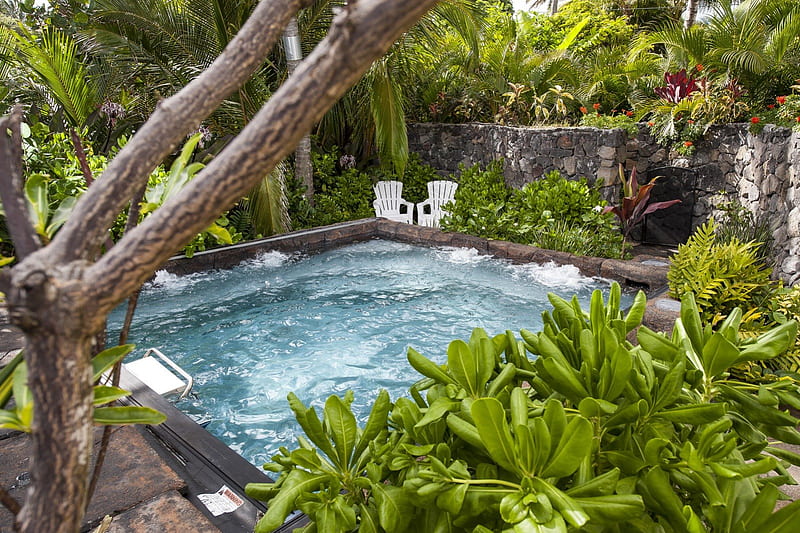 Tropical Jacuzzi in a lush plant grotto - Big Island Hawaii, polynesia, zen, palm, big, ferns, hot, flowers, grotto, islands, hawaii, pacific, trees, meditate, alone, tub, water, paradise, plants, gardens, garden, jacuzzi, island, hideaway, tropical, HD wallpaper