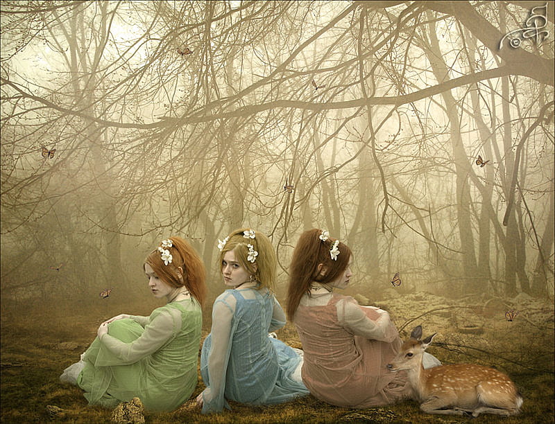Three sisters, goth, girls, wood, HD wallpaper | Peakpx