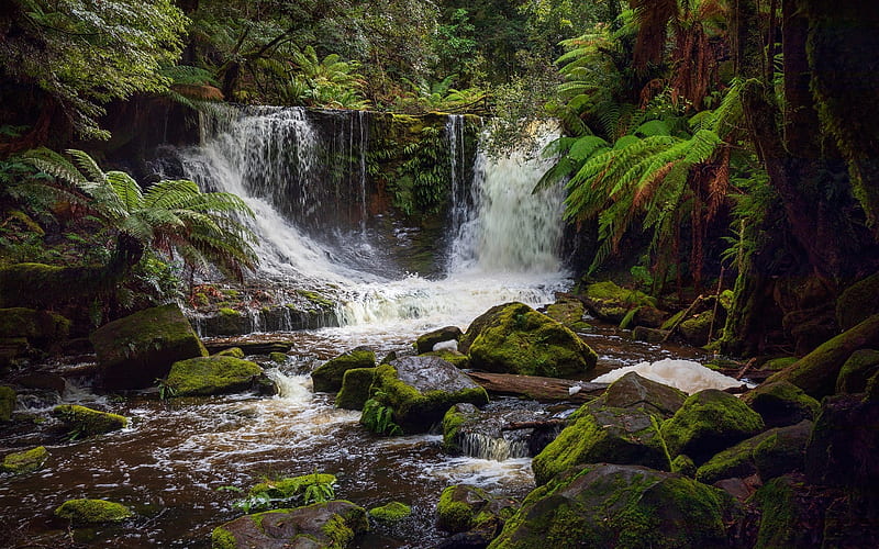 Waterfall in Australia, Australia, Tasmania, rocks, National Park, moss, waterfall, island, HD wallpaper