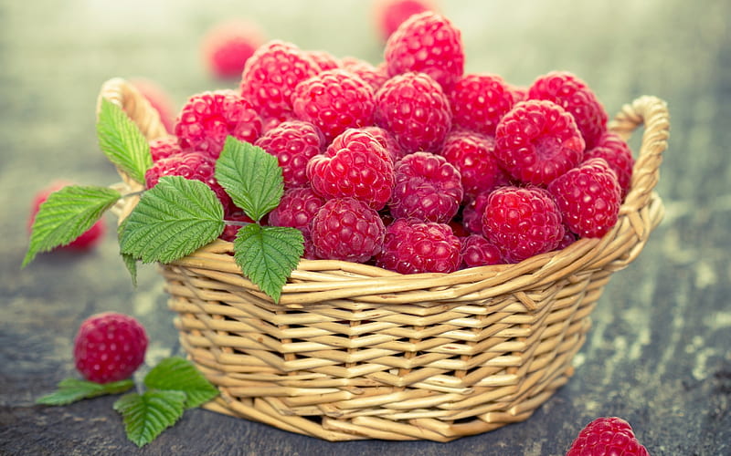 raspberry, ripe berries, basket with raspberry berries, harvest, HD wallpaper