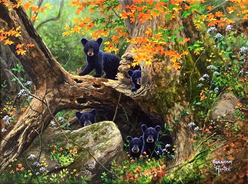 Recess - School of Nature, family, love four seasons, attractions in dreams, trees, paintings, summer, nature, cubs, bears, forests, HD wallpaper