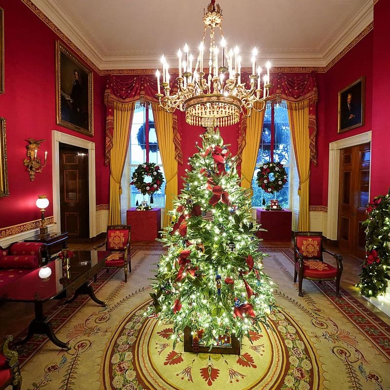 : White House 2020 Christmas decorations revealed, Christmas Library ...