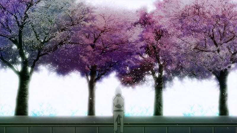 sakura tree gifs  WiffleGif