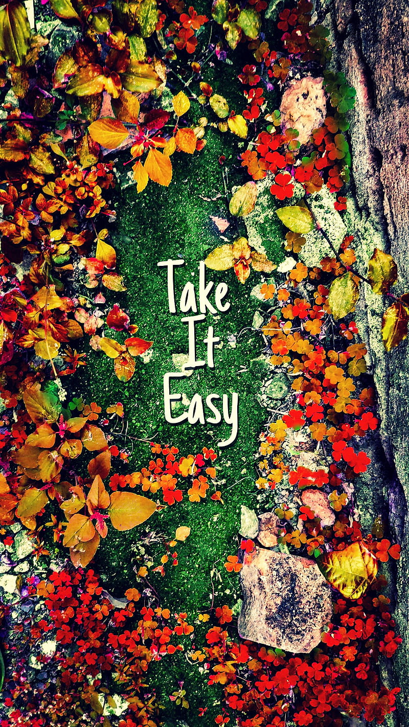 Tumblr, autumn, leaves, HD phone wallpaper