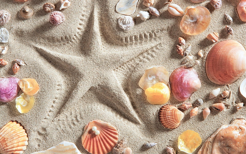 Sea Shore Card Snail Shell Card Pink Snail Card from Original Mosaic Art Fossil Card Seashell Card Snail Card