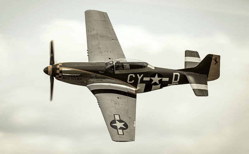 WWII American P-51 Mustang, mustang, military, aircraft, ww2, HD wallpaper