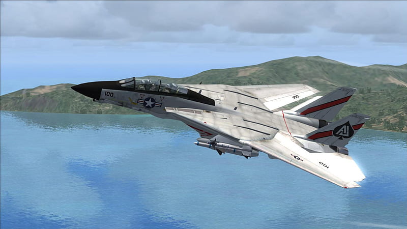 Fsx F-14 Tomcat VF-41, turbo, usn, fighter, wing, rocket, sand, recon, military, carrier, f14 tomcat, prop, sky, heli, aircraft, water, jet, copter, chopper, HD wallpaper