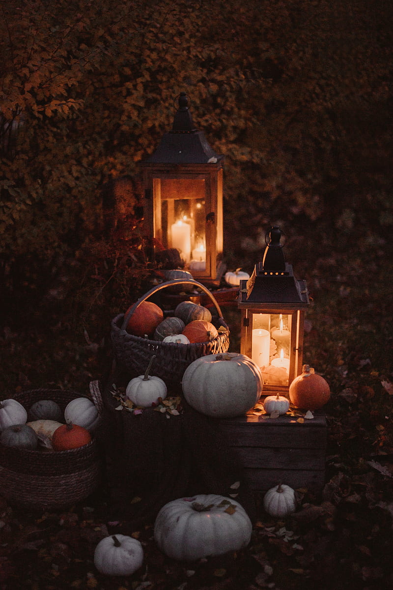 Pumpkin, basket, lights, autumn, candles, light, HD phone wallpaper | Peakpx