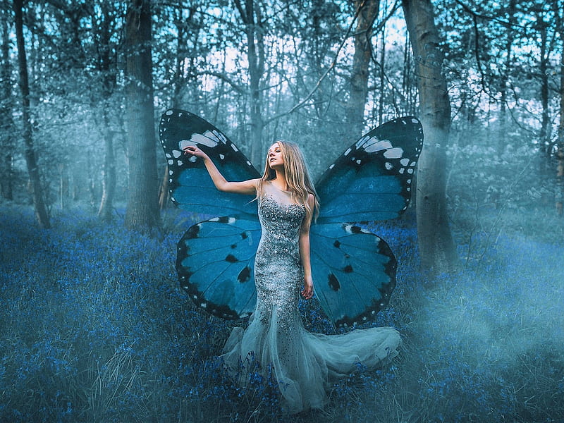 Blue Butterfly Fairy, forest, wings, trees, girl, twilight, HD wallpaper