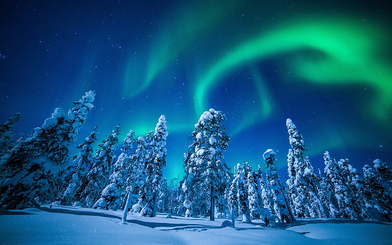 Lapland night, winter, forest, northern lights, Finland, Europe, HD wallpaper