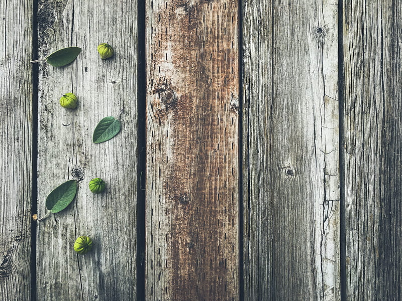 fruits, leaves, boards, tree, wooden, HD wallpaper