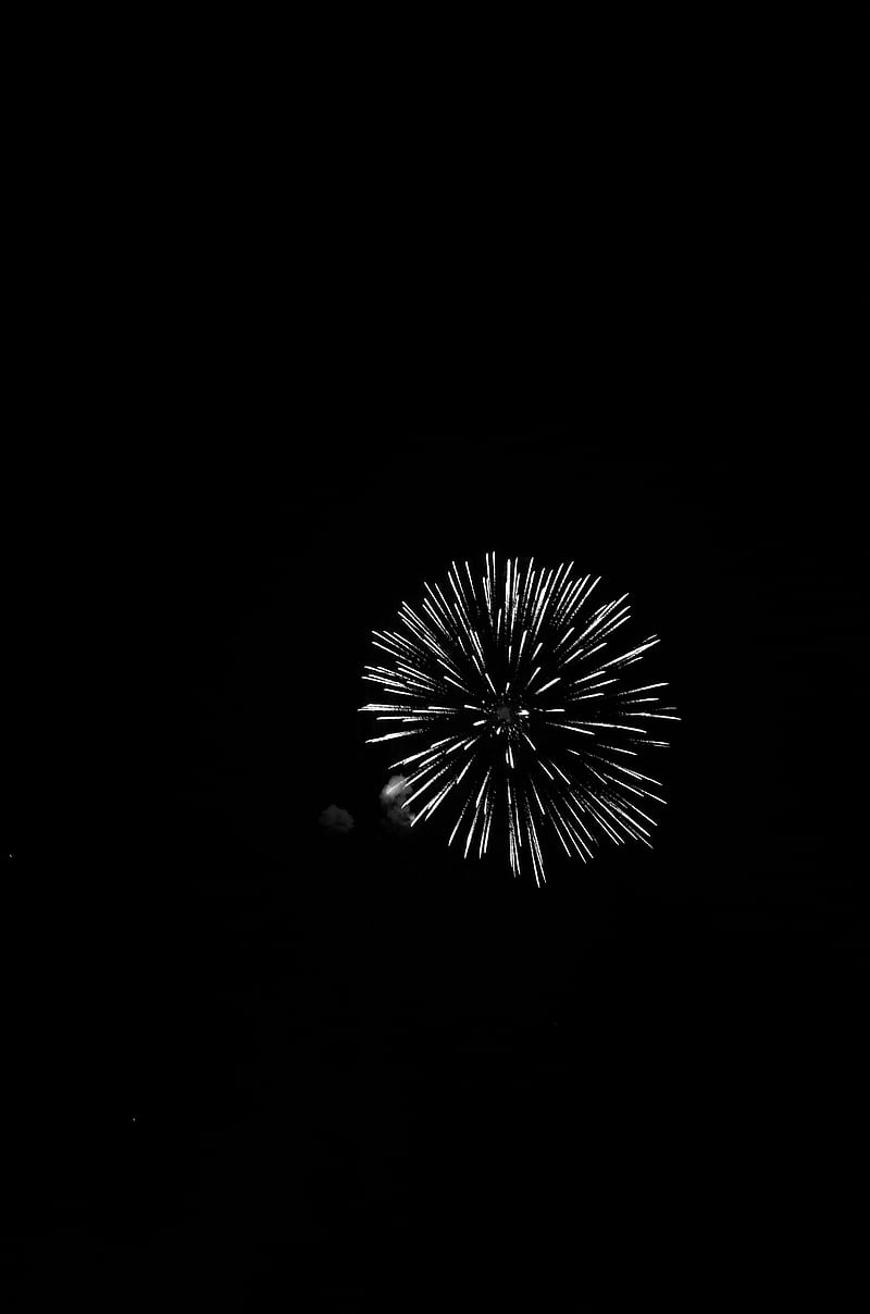 fireworks, salute, night, black, bw, HD phone wallpaper