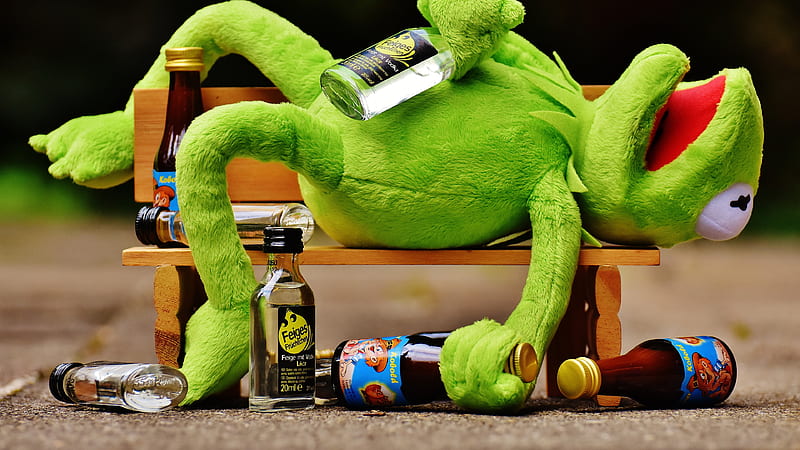 Funny Expression Kermit Frog Glass Bottles Lying Wooden Bench Drink Bottles Funny Expression, HD wallpaper