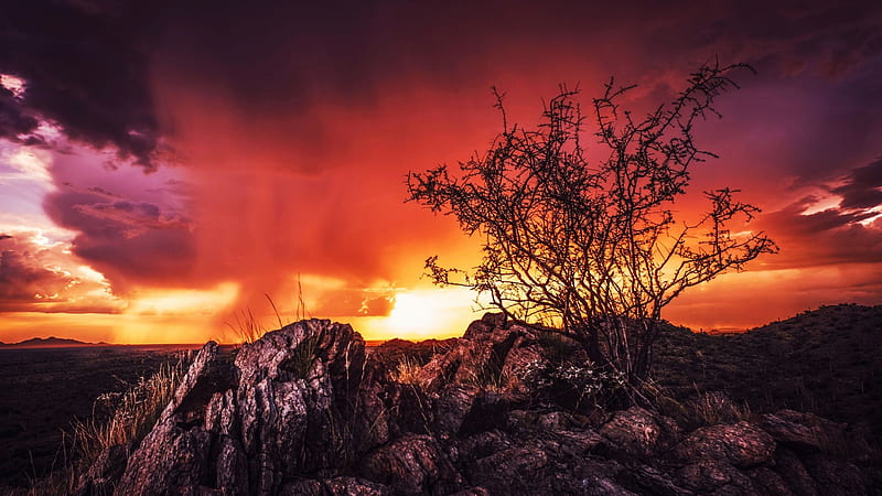 Stormy Mountaintop in the Sonoran Desert, tree, arizona, colors, landscape, sky, rocks, usa, HD wallpaper