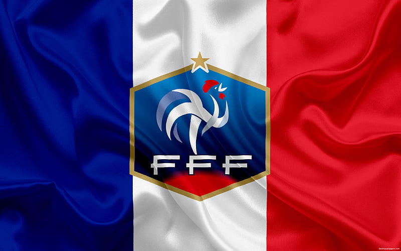 STL file France Football/Soccer Team Logo・Model to download and 3D  print・Cults