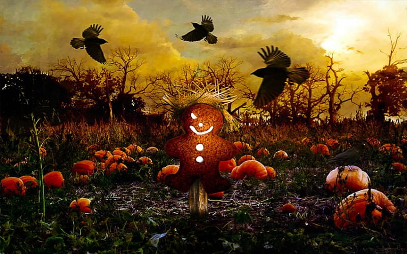 Scarecrow Gingerbread Man In Garden, Black, Garden, Sky, Scarecrow, Man, clouds, Gingerbread, Birds, HD wallpaper