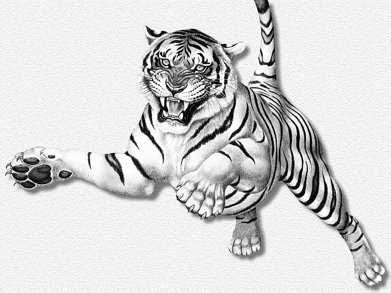 White Tiger Leaping, leaping, tiger, white, cat, animals, HD wallpaper