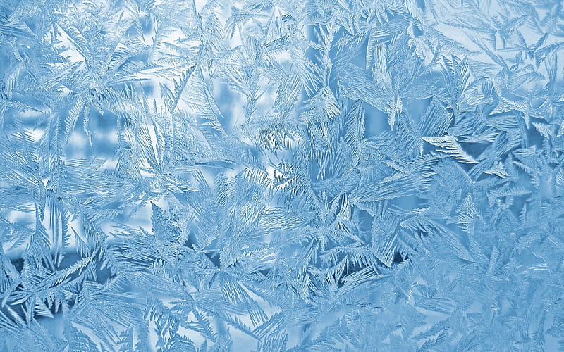 Ice Flowers, glass, ice, winter, frost, HD wallpaper