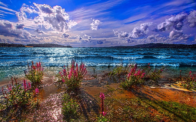 Lovely View grass, high dynamic range, mountain, nice wildflowers, landscapes, flowers, paisage, ocean, waves, ocean waves, purple, violet, red, border, summer time, shine, bonito, superb, leaves, sand, green, weeds, scenery, blue, night, horizon, foam, maroon, paisagem, r, nature branches, pc, scene, oceans, shore, wonderful, house, orange, surf, clouds, cenario, coasts, beach, skyscape, scenario, splendor, beauty, evening, blues, rivers, islands, , lovely, paysage, cena, sky, panorama, skies, water, cool, beaches, computer, hop, landscape, colorful, brown, sea graphy, sunsets, seaside, land, horizons, pink, light, amazing, view, line, purple flowers, colors, lake, leaf, plants, peaceful, summer, coastline, breakers, coast, reflux, HD wallpaper