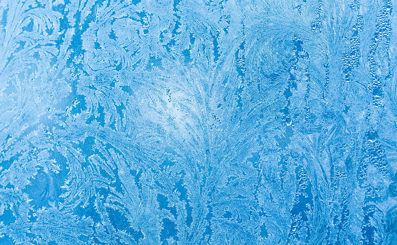 Frozen Ice Flowers on Window Glass Ultra, Holidays, Christmas, Blue, Winter, Frozen, Cold, Glass, December, Season, Frosty, Frosted, Crystals, Frost, Natural, ze, HD wallpaper