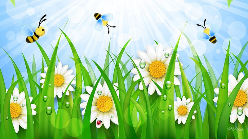 Busy Bee Daisies, sunray, grass, bokeh, bright, flowers, morning, blooms, light, wild flowers, dew, spring, sky, bees, daisies, sun beams, cute, whimsical, summer, blossoms, lawn, HD wallpaper