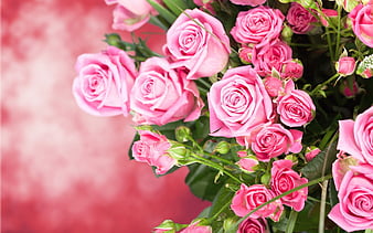 bouquet, flowers, rose, pink roses, beautiful flowers, roses, a bouquet of roses, HD wallpaper