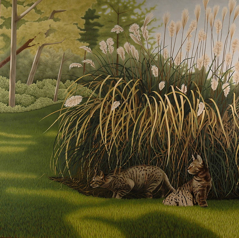 The Big Pounce, playing, grass, flowers, garden, trees, cats, HD wallpaper