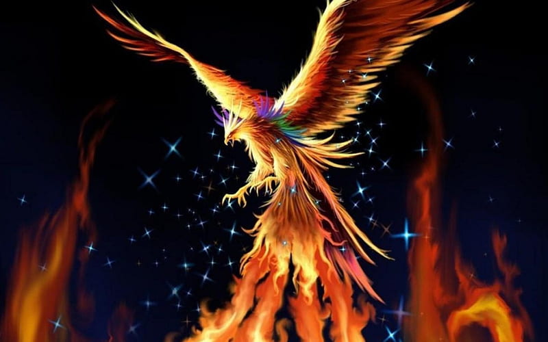 phoenix, art, night, dark, HD wallpaper