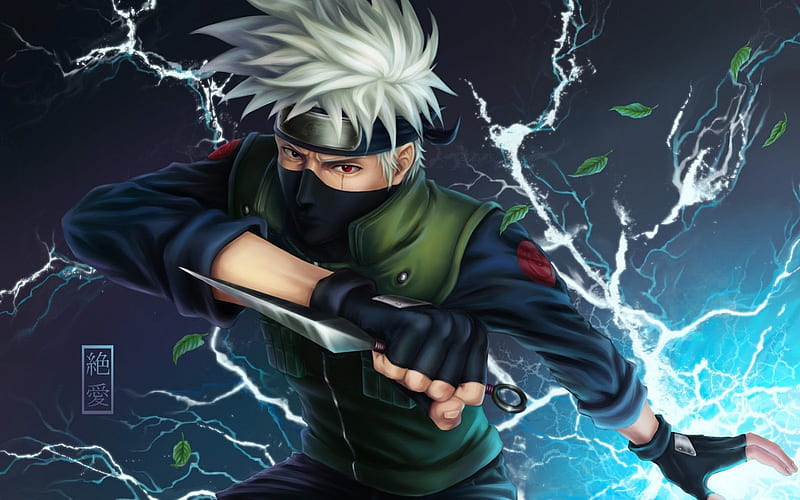 Anime Naruto Shippuuden Blue Eyes Cat Hatake Kakashi HD Naruto